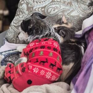 Meet your Posher, Robyn